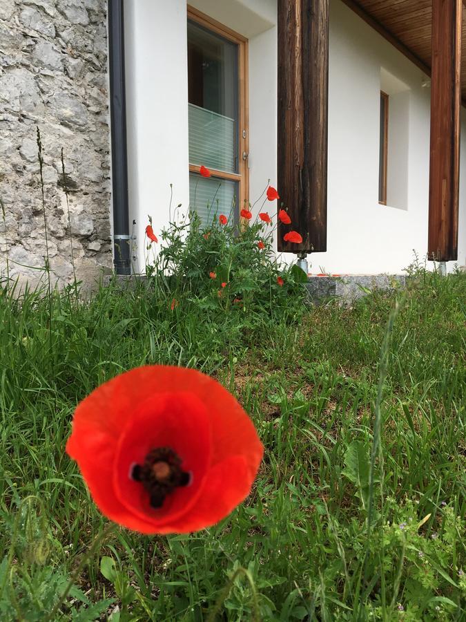 Apartamento Der Weber - Haus Der Zukunft *